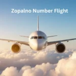 Zopalno Nmber Flight