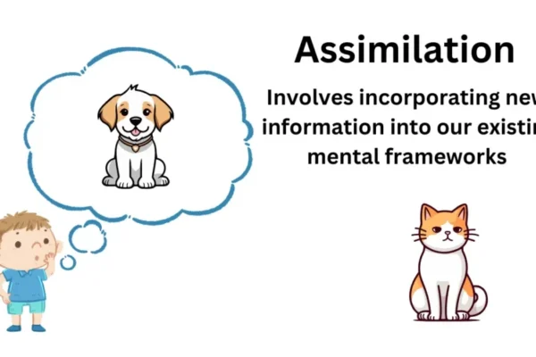Assimilasjon